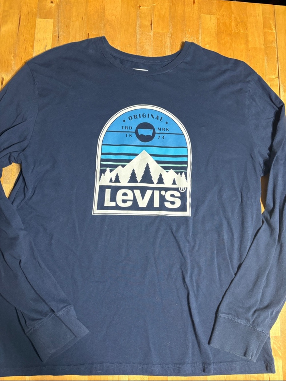 Levi's Mountain Logo long sleeve shirt